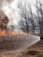 Los incendios forestales serán cada vez más devastadores: las soluciones que propone la ONU 