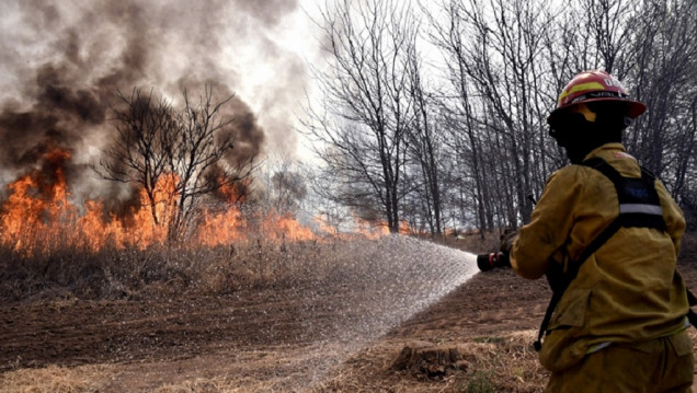 imagen Los incendios forestales serán cada vez más devastadores: las soluciones que propone la ONU 