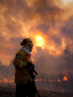 Una por una: las recomendaciones para prevenir los incendios forestales