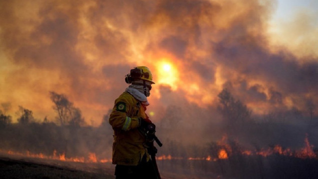 imagen Incendios en el Delta del Paraná: suman más recursos, pero hay nuevos focos activos