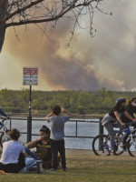 Incendios en el Delta del Paraná: aún hay focos activos  