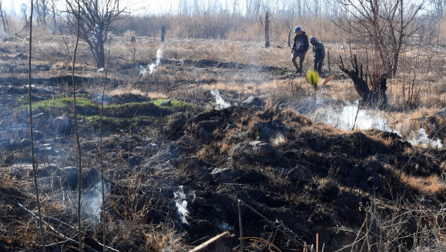 imagen Turba de antiguos cultivos arde bajo la tierra en Guaymallén