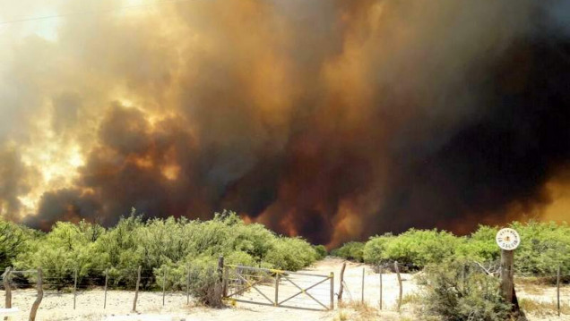 imagen Ya son 130 mil las hectáreas afectadas por los incendios en el sur