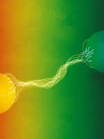 ¿Entrelazamiento de estados cuánticos? Docentes del Balseiro explican el Nobel de Física 2022
