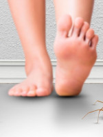Prevención y cuidados para las picaduras de insectos y arácnidos