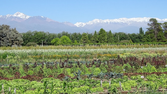imagen La agricultura regenerativa se extiende en la región de Cuyo