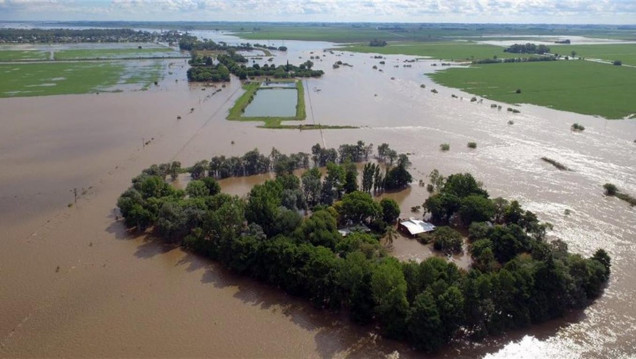 imagen Inundaciones: pronostican pérdidas para el campo de hasta USD 1750 millones