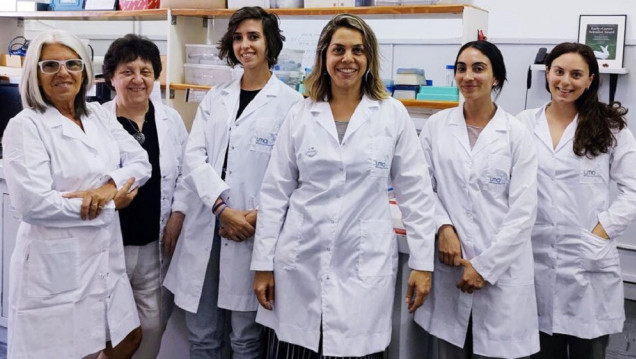 imagen Un laboratorio argentino desarrolla tecnología para reemplazar el testeo de productos en animales