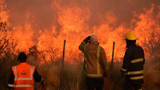 imagen Hay más de 600 mil hectáreas incendiadas y tres provincias afectadas