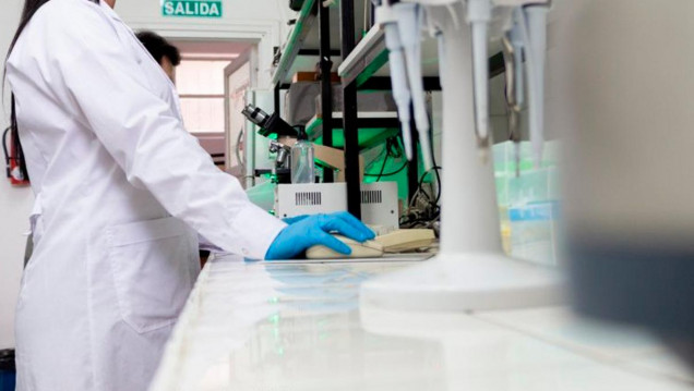 imagen Trasplantes: Argentina tendrá un laboratorio especial para realizar estudios complejos