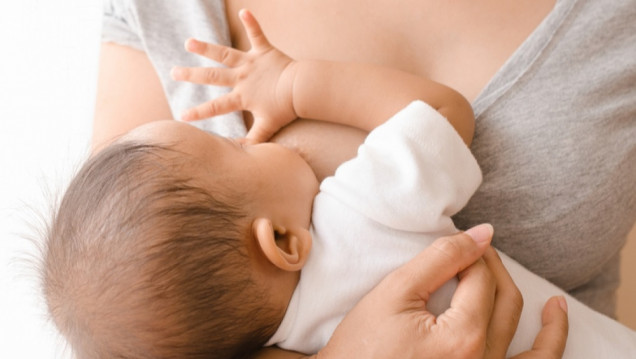imagen Parto posmoderno y lactancia, armonía para la madre y su bebé