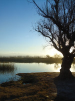 Consulta pública para que la Laguna de Soria de Lavalle sea Área Natural Protegida