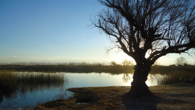 imagen Consulta pública para que la Laguna de Soria de Lavalle sea Área Natural Protegida