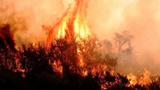imagen El 10 % del territorio pampeano ha sido arrasado por incendios desde octubre