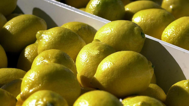 imagen Dos de cada diez limones que se consumen en el mundo se producen en Argentina