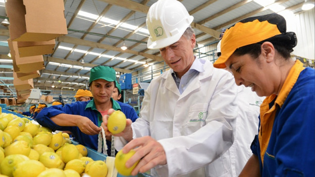 imagen Argentina vuelve a exportar limones después de 17 años 