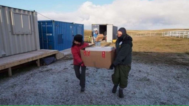 imagen La Cruz Roja terminó de exhumar en Malvinas las tumbas de soldados caídos