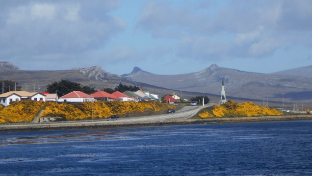 imagen Estudios del Conicet sobre especies marinas reafirman la soberanía argentina sobre Malvinas