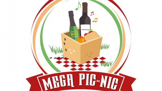 imagen Mega picnic solidario 