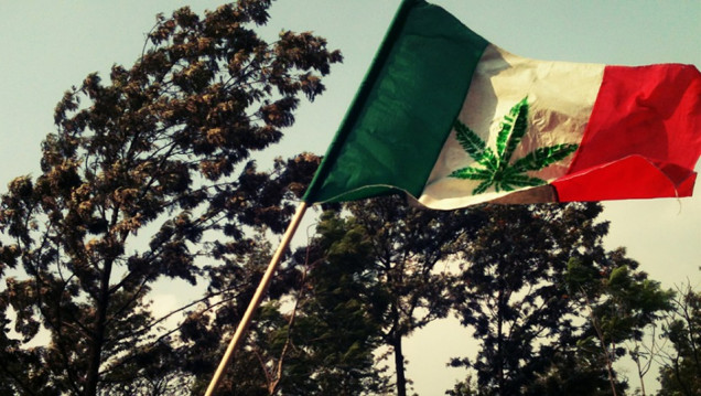 imagen México aprueba el uso recreativo de la marihuana