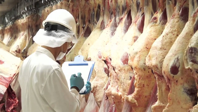 imagen Argentina exportará carne a Europa después de 13 años