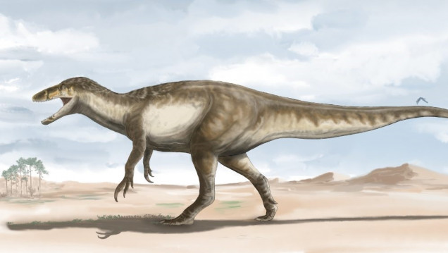 imagen Descubren a Maip, uno de los últimos dinosaurios antes de la extinción