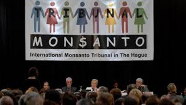 imagen Hoy se sabrá el veredicto del Tribunal de La Haya contra Monsanto