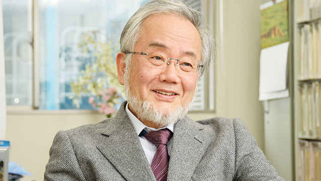 imagen Un japonés obtuvo el Premio Nobel de Medicina 2016