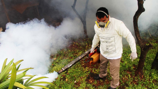 imagen Chikungunya: la enfermedad que tiene en alerta a Paraguay y que ya llegó a territorio argentino