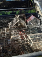 En lo que va de mayo, más de 50 aves fueron rescatadas del tráfico ilegal en Mendoza