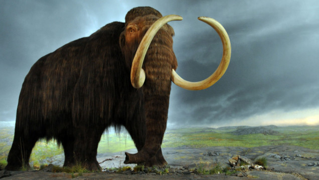 imagen Confirmado: hallaron "elefantes prehistóricos" en el norte bonaerense