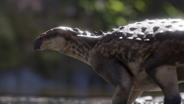 imagen Descubren un nuevo dinosaurio acorazado que habitó en la Patagonia hace 70 millones de años