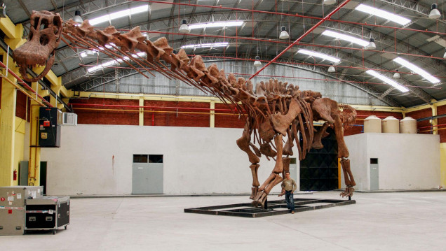 imagen Con ustedes, Patagotitan Mayorum: el dinosaurio más grande que habitó el planeta