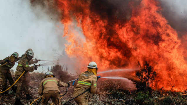 imagen Portugal: lograron controlar el último foco del incendio