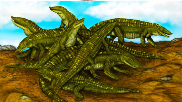 imagen Identifican en Alemania una guardería de reptiles bebés extintos hace cerca de 215 millones de años