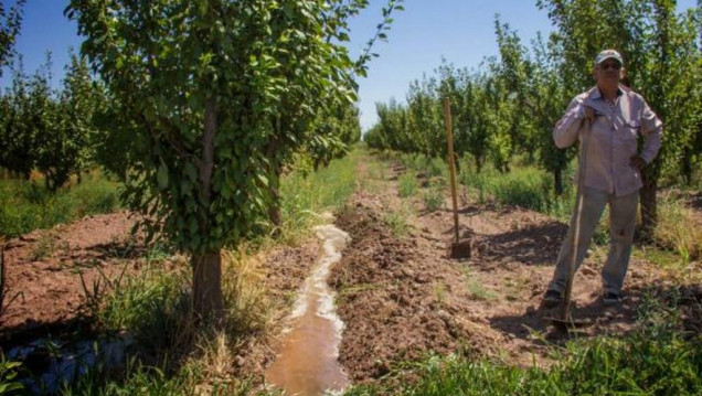 imagen Irrigación: "No se puede cuadruplicar la zona irrigada en la provincia"