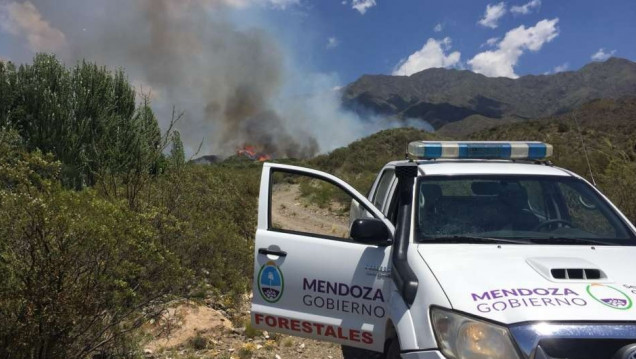 imagen El calor provocó varios focos de incendio en la provincia