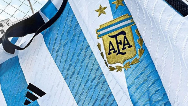 imagen De Sudáfrica 2010 a Qatar 2022, la camiseta argentina subió más del 6000 %