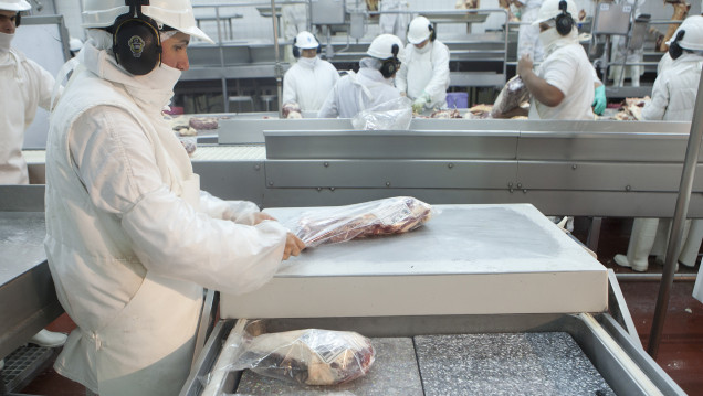 imagen El Senasa aplica un "programa de vigilancia" a la importación de carne brasileña