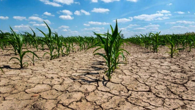 imagen Casi 23 millones de hectáreas se encuentran en condiciones de sequía severa por falta de lluvias