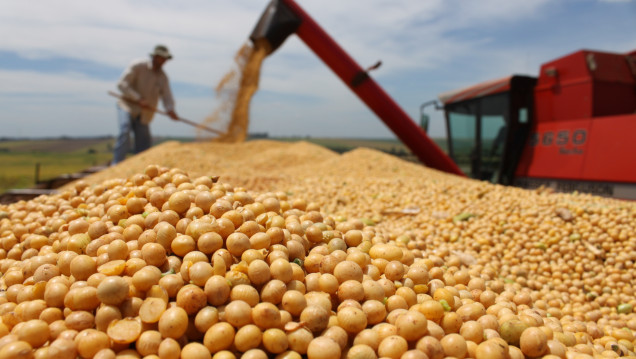 imagen Agroexportadores liquidaron en lo que va del año más de USD 10 720 millones