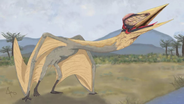 imagen Cronología de un hallazgo: así era el "Dragón de la Muerte", el reptil alado descubierto en Mendoza