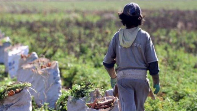 imagen "Libre de trabajo infantil", una certificación necesaria
