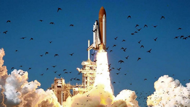 imagen Histórico: hallaron restos del transbordador Challenger de la NASA en la costa este de Florida