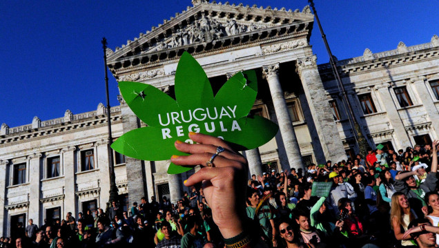 imagen Ya se puede comprar marihuana para recreación en farmacias de Uruguay