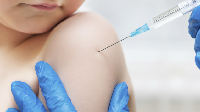 imagen Sarampión: el 94 % de los mendocinos está vacunado