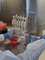 Equipos científicos de Conicet trabajan en la cura del cáncer a través de una vacuna e inmunoterapia