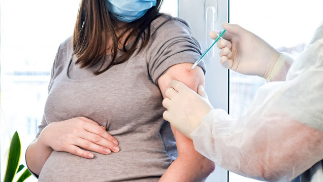 imagen Vacunación COVID-19: recomiendan la aplicación del esquema completo en embarazadas