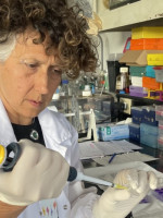 Científicos y científicas de Argentina avanzan en la formulación de vacunas de nueva generación