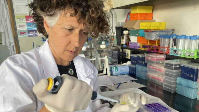 imagen Científicos y científicas de Argentina avanzan en la formulación de vacunas de nueva generación